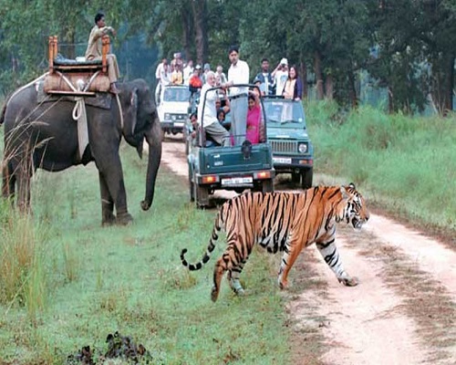 jimcorbett-1