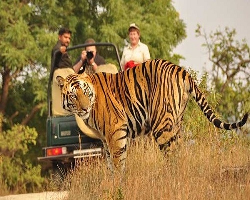 jimcorbett-2