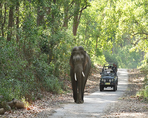 jimcorbett-3